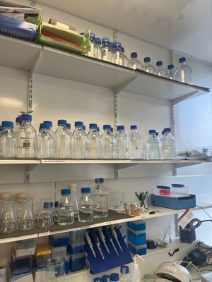 many bottles and containers on the shelves in the room