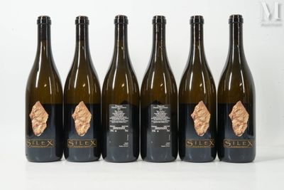 six bouteilles de vin sont alignées sur une surface blanche