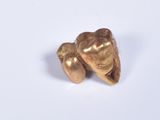 a gold tooth and a toothbrush on a white surface