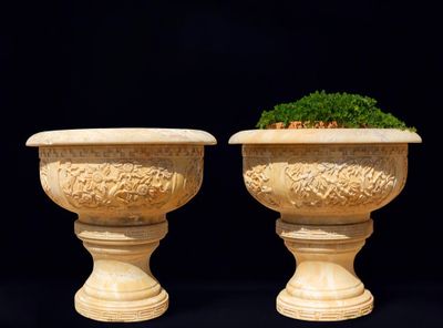 two large vases with plants in them on a black background