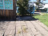 a cat that is sitting on a wooden platform
