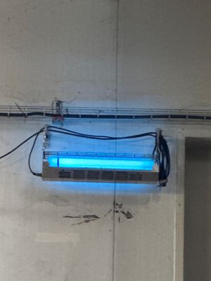 une lumière bleue fixée au mur d'un immeuble