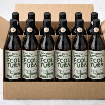 six bouteilles de « Torta » écologique sont rangées dans une boîte en carton
