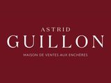 la couverture du livre d'Astrid Guillon
