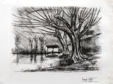 un dessin en noir et blanc représentant un arbre avec une maison en arrière-plan