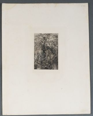 un dessin en noir et blanc représentant une personne dans un arbre