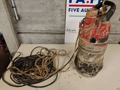 Pompe immergée monophasée pour eau chargée GRINDEX MINETTE N…