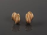 a pair of gold earrings, by person