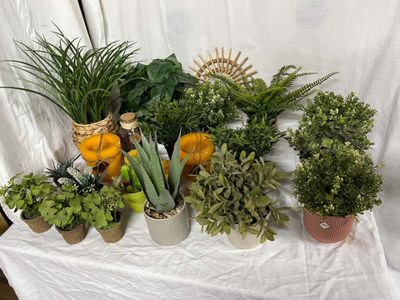 de nombreuses plantes en pot posées sur une table recouverte d'une nappe blanche