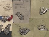 plusieurs pièces d'argent sont posées sur une feuille de papier