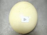 une balle jaune avec un autocollant dessus, posée sur une table