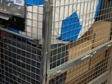 a cage with a lot of sheep inside of it