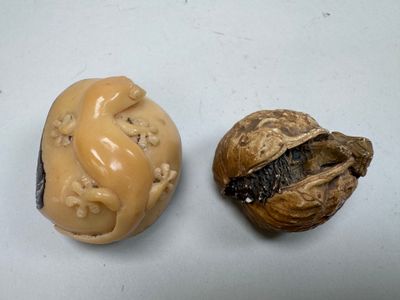 une noix et une coquille de noix sur une surface blanche