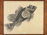 dessin représentant un poisson dans un cadre en bois accroché au mur