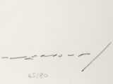 a drawing of a plane that is flying in the sky
