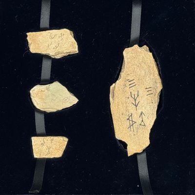 trois pièces d'or sont exposées dans une vitrine