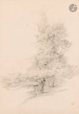 dessin représentant un arbre dans un champ, avec un oiseau qui passe à côté