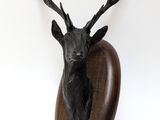 une tête de cerf fixée sur une plaque en bois accrochée au mur