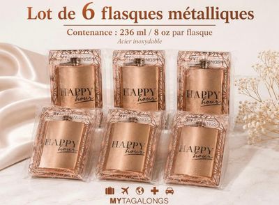 lot de 6 flasques metaliques