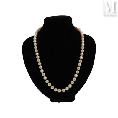 gros plan d'un collier de perles sur un mannequin