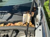 une voiture dont le capot est recouvert d'un tas de feuilles