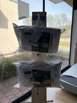 Lot de deux oreillers BIOTEX