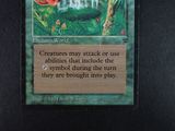 a picture of a card with a picture of a forest scene
