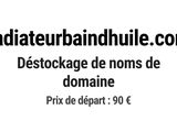 Photo 1/1 du lot