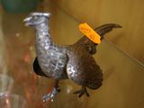 un petit oiseau perché sur une étagère en verre