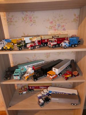 les nombreux camions miniatures qui se trouvent sur les étagères de la pièce