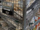 a large metal cart with a lot of items inside of it