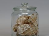 a glass jar filled with shells on a white surface