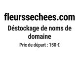 Photo 1/1 du lot
