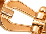 a close up of a gold buckle on a white background