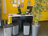 a desk with a computer and a plant in the corner