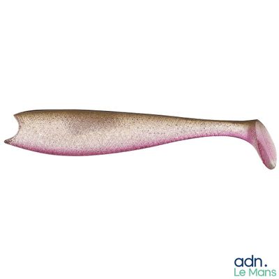 a picture of a fish with a long tail