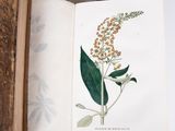 a book with a picture of a plant on it
