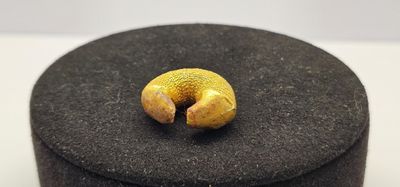 une boîte noire ornée d'un anneau doré