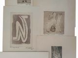 Plusieurs types de dessins différents sont représentés sur une surface blanche