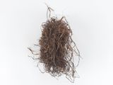a close up of a bunch of root on a white surface