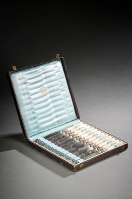 une valise qui contient beaucoup de pièces d'échecs