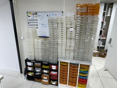 beaucoup de cartons et de bacs remplis de nourriture par terre