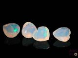 quatre oplites blancs sont alignés sur une surface noire