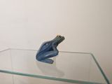 a blue frog sitting on a glass shelf in a room