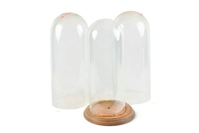 deux cloches en verre transparent avec un socle en bois, sur fond blanc