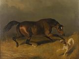 tableau représentant un cheval et un chien courant dans un champ
