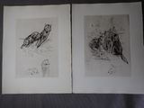 deux dessins en noir et blanc représentant un chat et un oiseau sur un lit