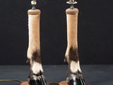 two lamps that are sitting on top of a table
