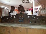 a large metal sculpture of a bird on top of a table