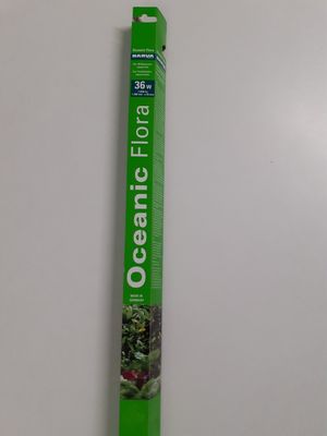 un gros plan d'un tube de dentifrice posé sur une surface blanche